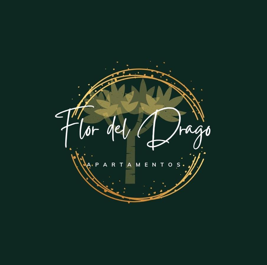 Ferienwohnung Flor Del Drago Icod De Los Vinos Exterior foto